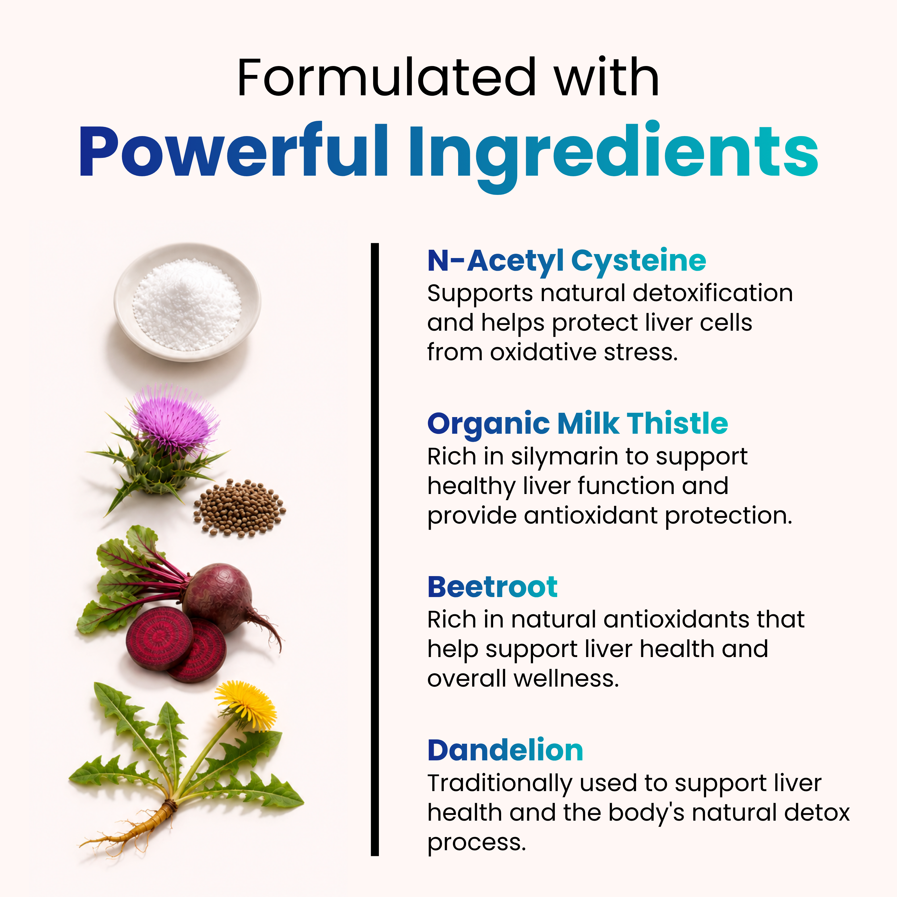 Liver Support for Detox & Metabolic Health
