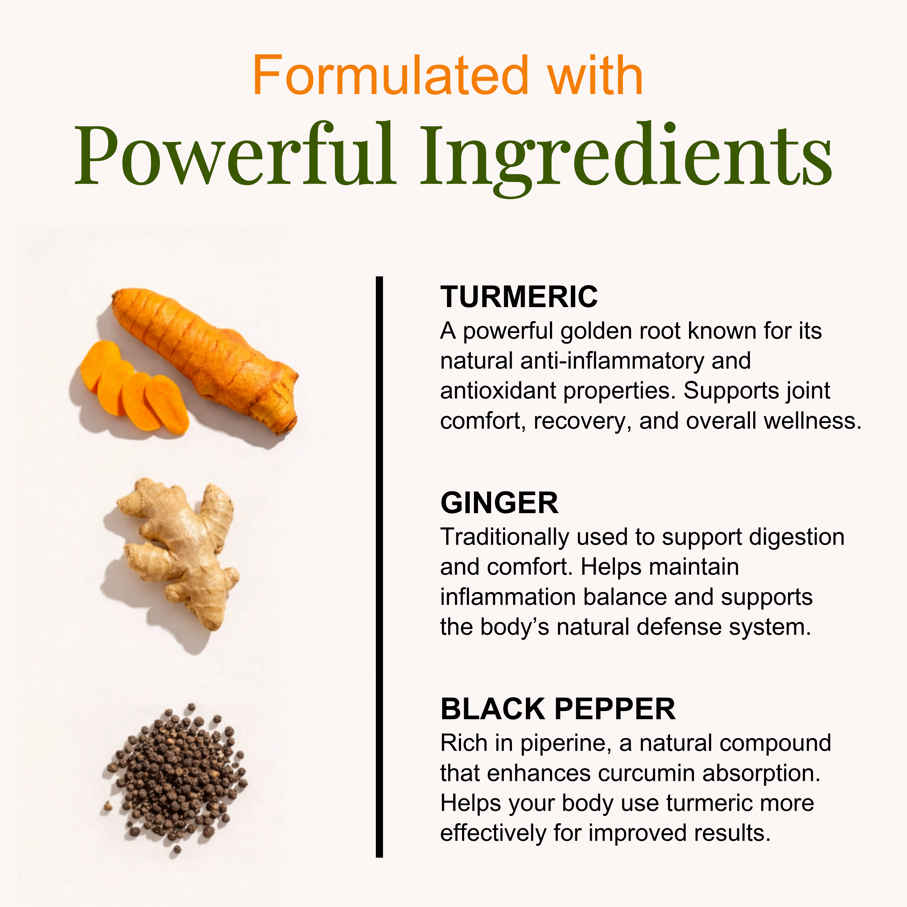 Turmeric & Curcumin for Joint Function & Mobility